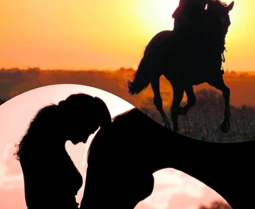 Mental Stark – Besser Wahrnehmen – Erfolgreich Reiten – Zufriedenes Pferd – Mental starker Reiter