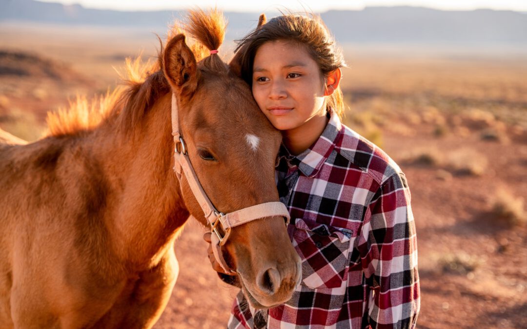 Natural Horsemanship – Individulkurs