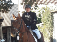 Beauftragter für Leistungssport