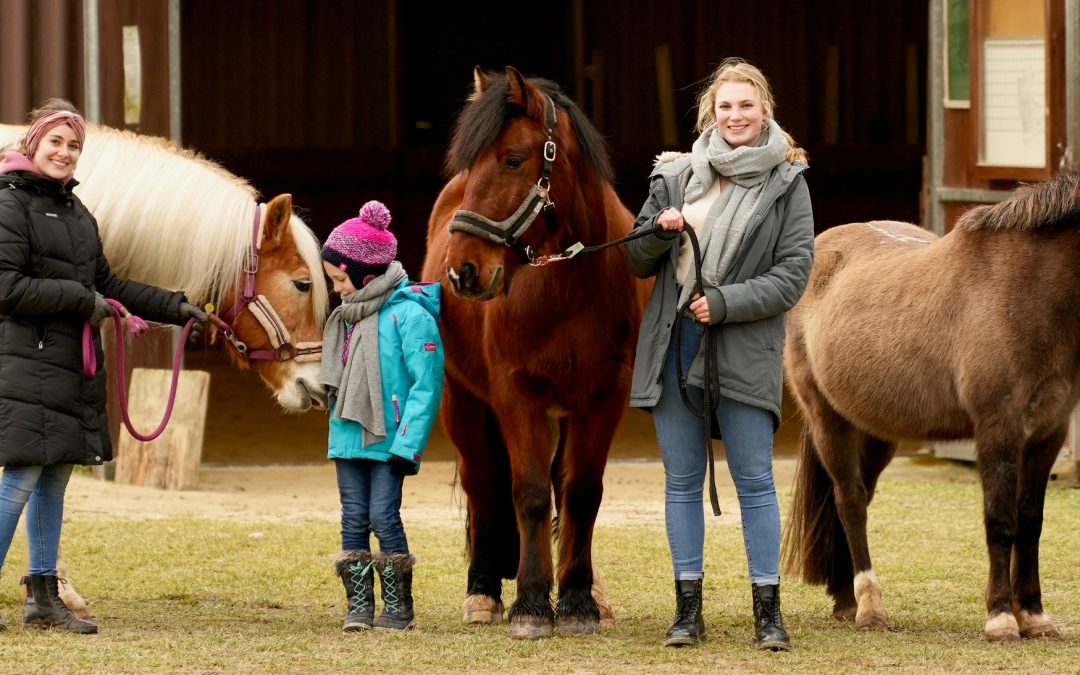 Werde Teil der Sprendlinger Ponybande